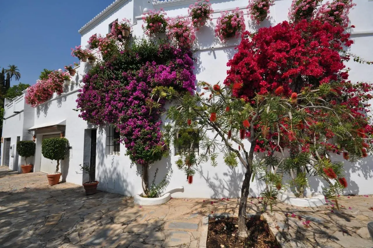 All About Lomas De Marbella Club Puebloヴィラ
